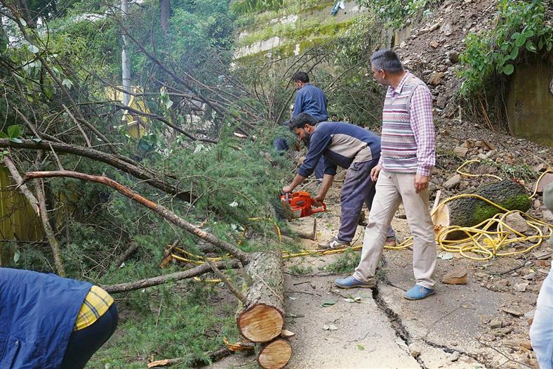 Shimla, TRIBUNE PHOTO